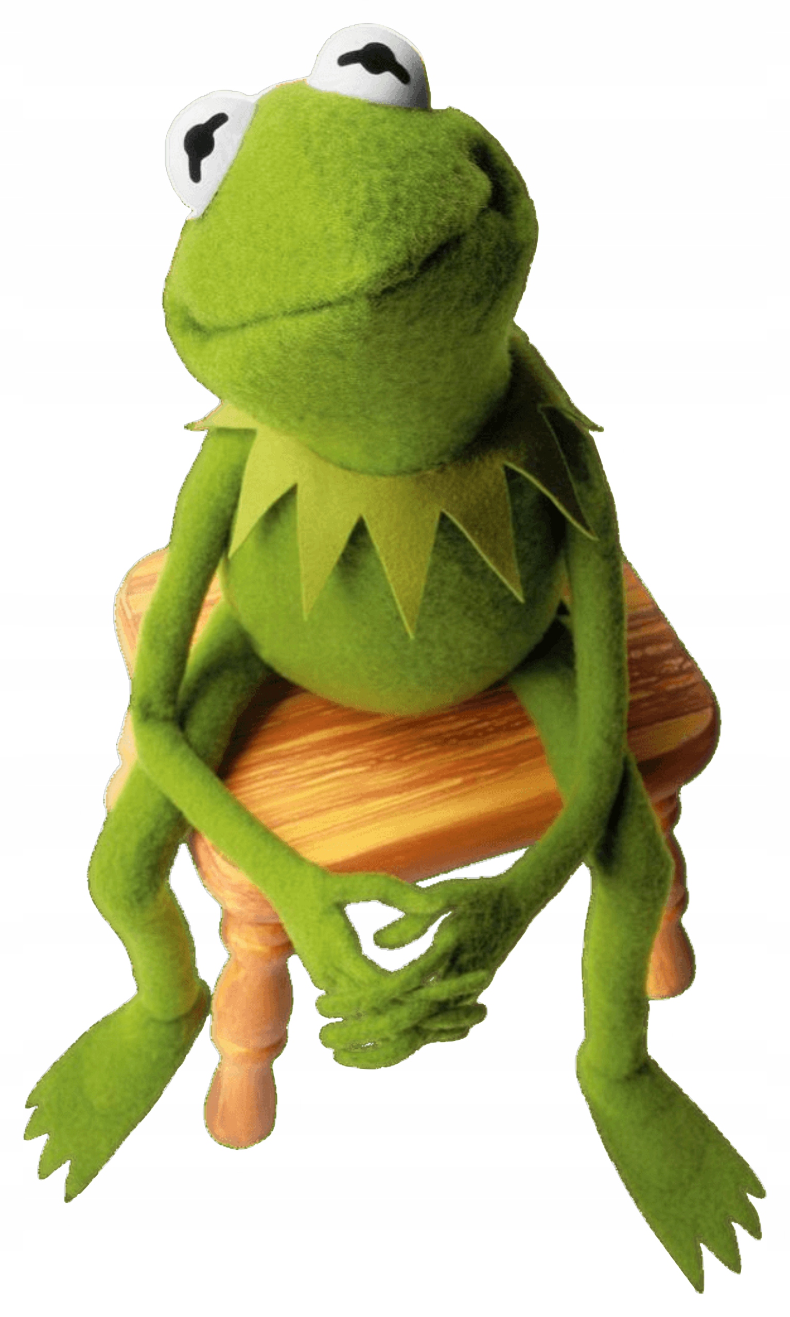 Zdjęcie Kermit